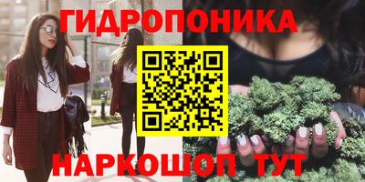 скорость Заводоуковск