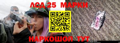 скорость Заводоуковск