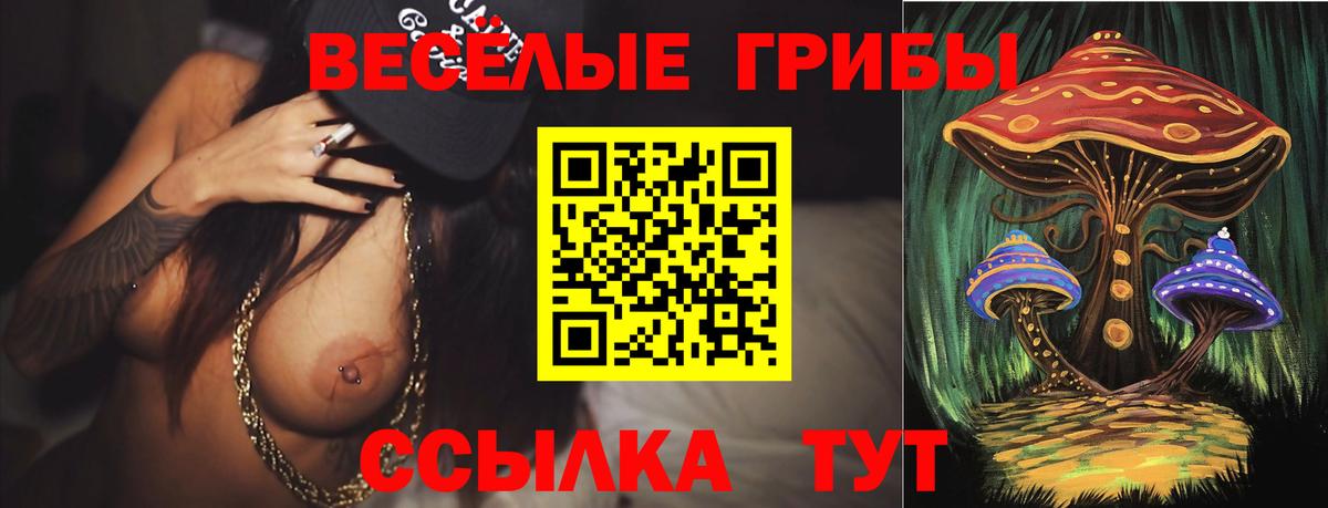Псилоцибиновые грибы мицелий  Вход с VPN  Псилоцибиновые грибы Psilocybe  Магадан 